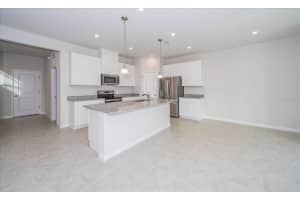 10928 OSPREY GLADE TERRACE, LAND O LAKES, FL 34638 - MLS#MFRTB8441839