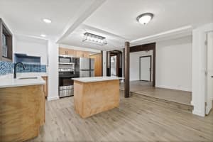 10020 JUNGLE STREET, NEW PORT RICHEY, FL 34654 - MLS#MFRTB8441871