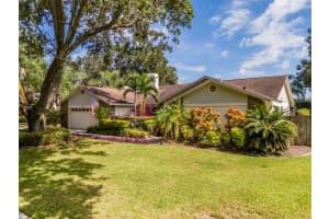 222 HALTON CIRCLE, SEFFNER, FL 33584 - MLS#MFRTB8441880