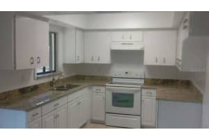 413 EVERGREEN DRIVE, OLDSMAR, FL 34677 - MLS#MFRTB8441884