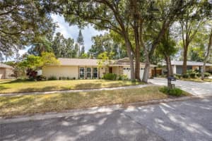 1204 Beacon Hill Dr, TAMPA