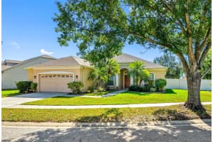 11749 Summer Springs Dr, RIVERVIEW 11749 Summer Springs Dr, RIVERVIEW