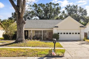 2605 Berryvine Pl, VALRICO 2605 Berryvine Pl, VALRICO