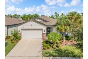 30415 CARAVELLE LANE, WESLEY CHAPEL, FL 33545 - MLS#MFRTB8442022
