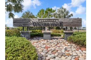 30415 CARAVELLE LANE, WESLEY CHAPEL, FL 33545 - MLS#MFRTB8442022