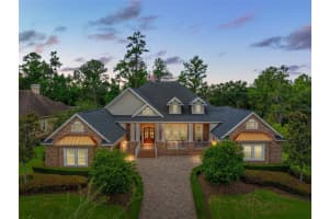 19500 STERLING BLUFF WAY, BROOKSVILLE, FL 34601 - MLS#MFRTB8442023
