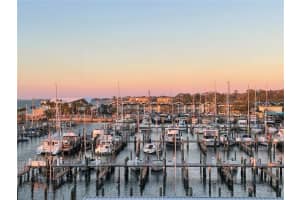 634 Edgewater Dr #447, DUNEDIN