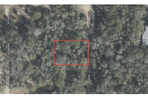 611 PINEWOOD AVENUE, INVERNESS, FL 34453 - MLS#MFRTB8442087