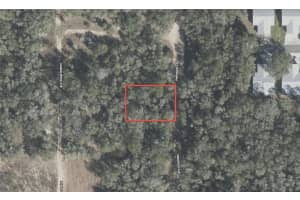 611 PINEWOOD AVENUE, INVERNESS, FL 34453 - MLS#MFRTB8442087