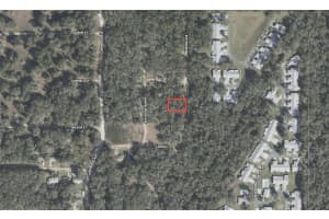 611 PINEWOOD AVENUE, INVERNESS, FL 34453 - MLS#MFRTB8442087