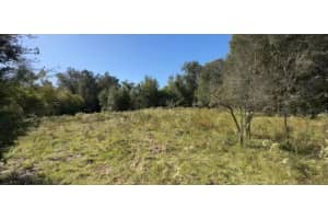 2309 GARFIELD STREET, INVERNESS, FL 34453 - MLS#MFRTB8442114