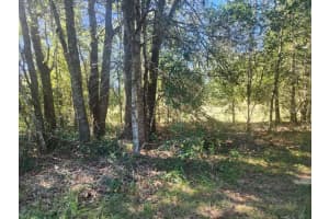 2309 GARFIELD STREET, INVERNESS, FL 34453 - MLS#MFRTB8442114