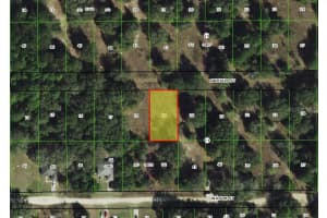 2307 GARFIELD STREET, INVERNESS, FL 34453 - MLS#MFRTB8442124