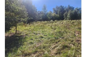 2307 GARFIELD STREET, INVERNESS, FL 34453 - MLS#MFRTB8442124