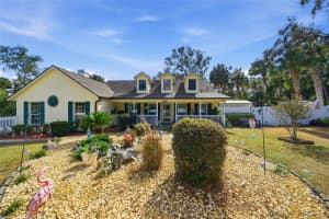 11131 HACKNEY DRIVE, RIVERVIEW, FL 33578 - MLS#MFRTB8442134