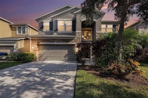 10661 Pictorial Park Dr, TAMPA