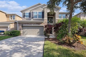 10661 PICTORIAL PARK DRIVE, TAMPA, FL 33647 - MLS#MFRTB8442185