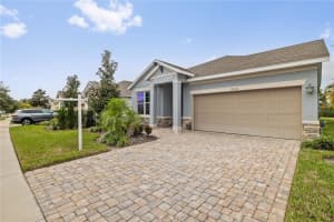 6112 PLOVER MEADOW STREET, LITHIA, FL 33547 - MLS#MFRTB8442190