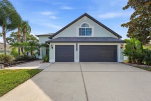 4746 Carroway Dr, LAND O LAKES