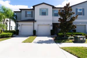 4527 Globe Thistle Dr, TAMPA