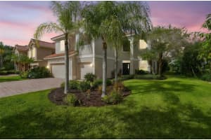 12803 DARBY RIDGE DRIVE, TAMPA, FL 33624 - MLS#MFRTB8442211