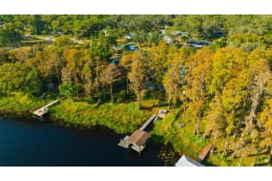 18405 TOMLINSON DRIVE, LUTZ, FL 33549 - MLS#MFRTB8442220