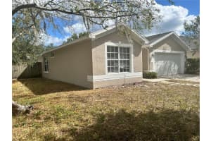 15017 Shaw Rd, TAMPA 15017 Shaw Rd, TAMPA