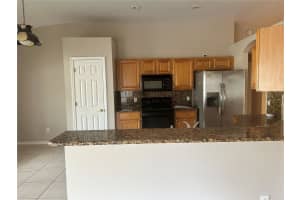 15017 SHAW ROAD, TAMPA, FL 33625 - MLS#MFRTB8442242