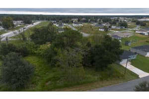 LAUREL CT, OCALA, FL 34478 - MLS#MFRTB8442263