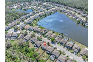 1218 HALAPA WAY, TRINITY, FL 34655 - MLS#MFRTB8442291
