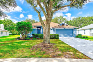 3454 SILVER MEADOW WAY, PLANT CITY, FL 33566 Sold 11/21/25