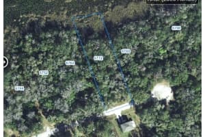 6772 HARTMAN PATH, HERNANDO, FL 34442 - MLS#MFRTB8442298