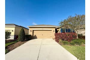 31591 Tansy Bnd, WESLEY CHAPEL