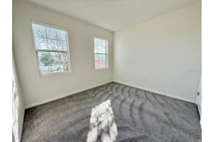 31591 TANSY BEND, WESLEY CHAPEL, FL 33545 - MLS#MFRTB8442320