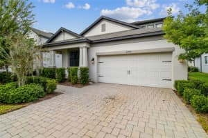 3979 MELLON DRIVE, ODESSA, FL 33556 - MLS#MFRTB8442340