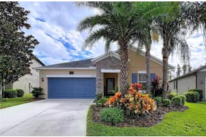 19210 ALEXANDREA LEE COURT, LAND O LAKES, FL 34638 - MLS#MFRTB8442349