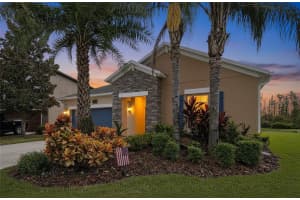 19210 ALEXANDREA LEE COURT, LAND O LAKES, FL 34638 - MLS#MFRTB8442349