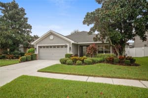 9645 JAYBIRD LANE, LAND O LAKES, FL 34638 - MLS#MFRTB8442356