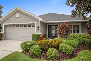 9645 JAYBIRD LANE, LAND O LAKES, FL 34638 - MLS#MFRTB8442356