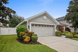 9645 JAYBIRD LANE, LAND O LAKES, FL 34638 - MLS#MFRTB8442356