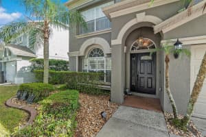 4204 HARBOR LAKE DRIVE, LUTZ, FL 33558 - MLS#MFRTB8442437