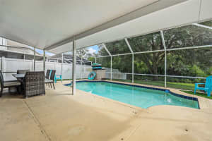 4204 HARBOR LAKE DRIVE, LUTZ, FL 33558 - MLS#MFRTB8442437