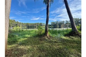 16301 DEW DROP LANE, TAMPA, FL 33625 - MLS#MFRTB8442519