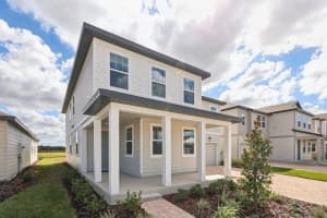 30121 MISTY PINES RD, MOUNT DORA, FL 32757 - MLS#MFRTB8442524