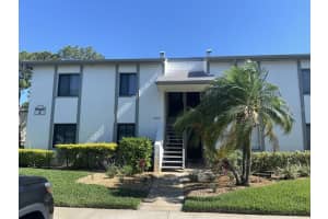 261 CYPRESS LANE, OLDSMAR, FL 34677 - MLS#MFRTB8442536