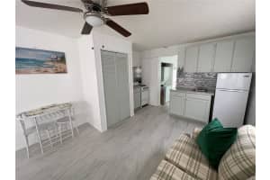 1635 OMAHA STREET, PALM HARBOR, FL 34683 - MLS#MFRTB8442566