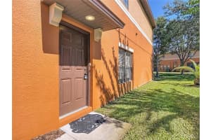 1046 TULLAMORE DRIVE, WESLEY CHAPEL, FL 33543 - MLS#MFRTB8442568