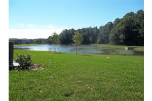 20014 DATE PALM WAY, TAMPA, FL 33647 - MLS#MFRTB8442587