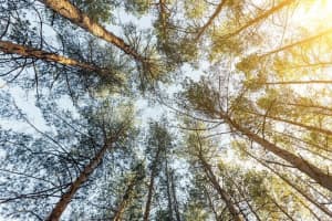 3417 58TH STREET, LEHIGH ACRES, FL 33971 - MLS#MFRTB8442634