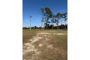 670 ALVARADO, NORTH PORT, FL 34287 - MLS#MFRTB8442651